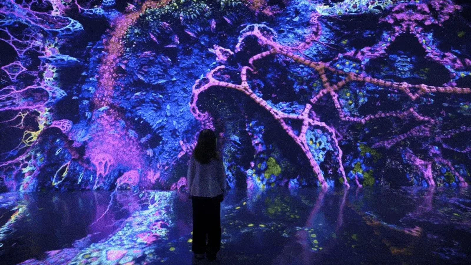 Pixelbloom at ARTECHOUSE