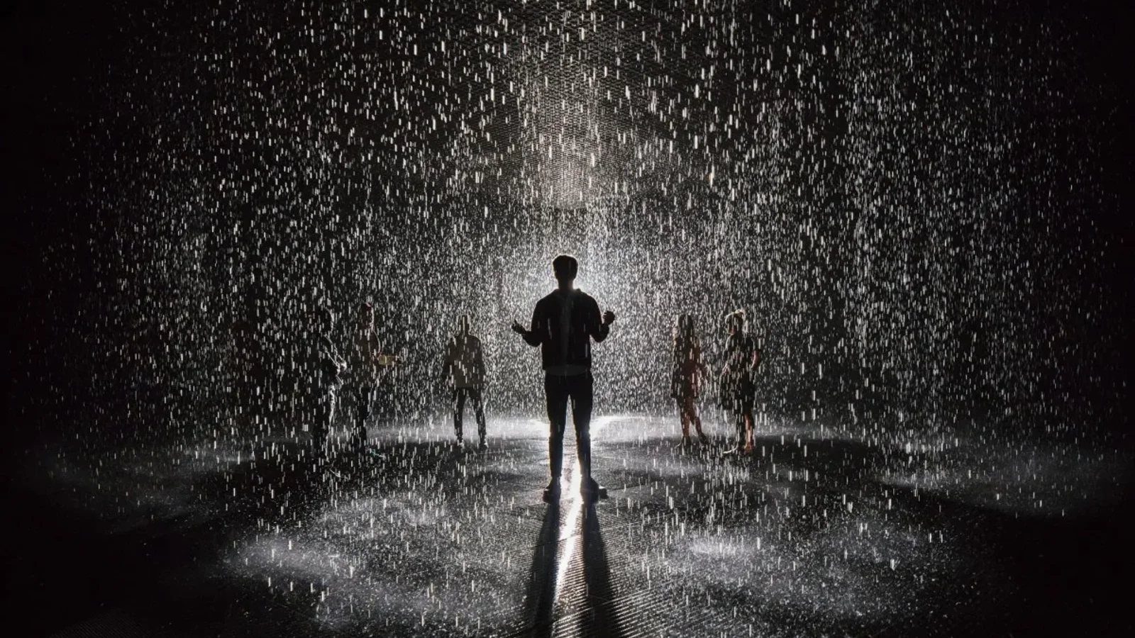 Rain Room