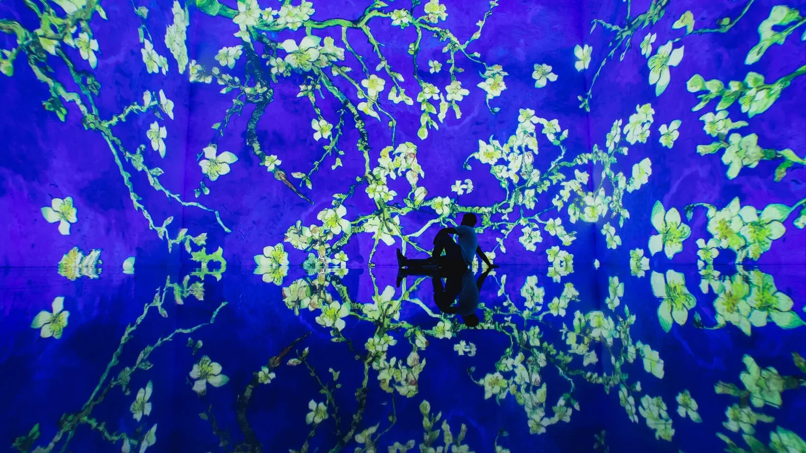 Theatre of Digital Art