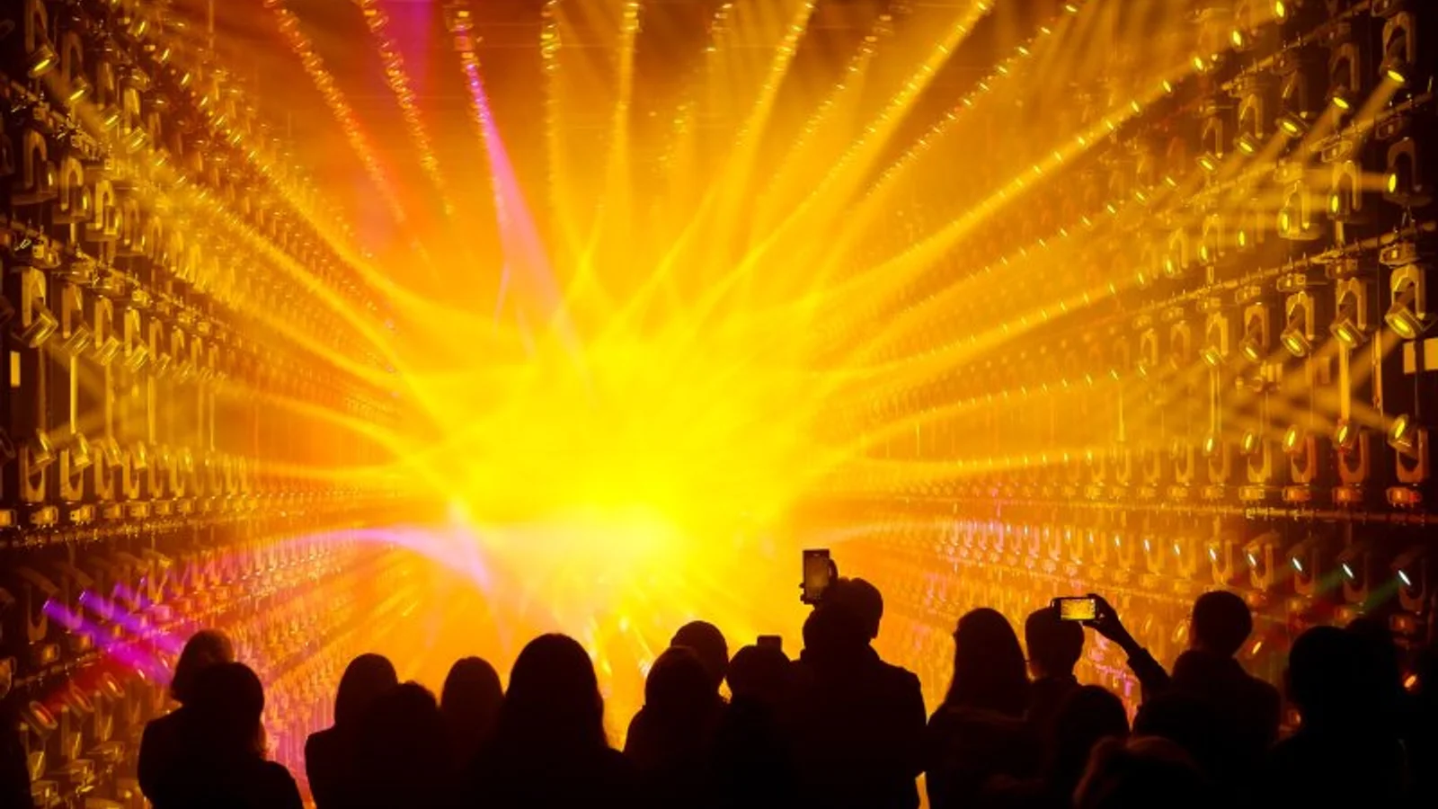 teamLab Borderless immersive digital art installation at Azabudai Hills Tokyo with body-reactive projections