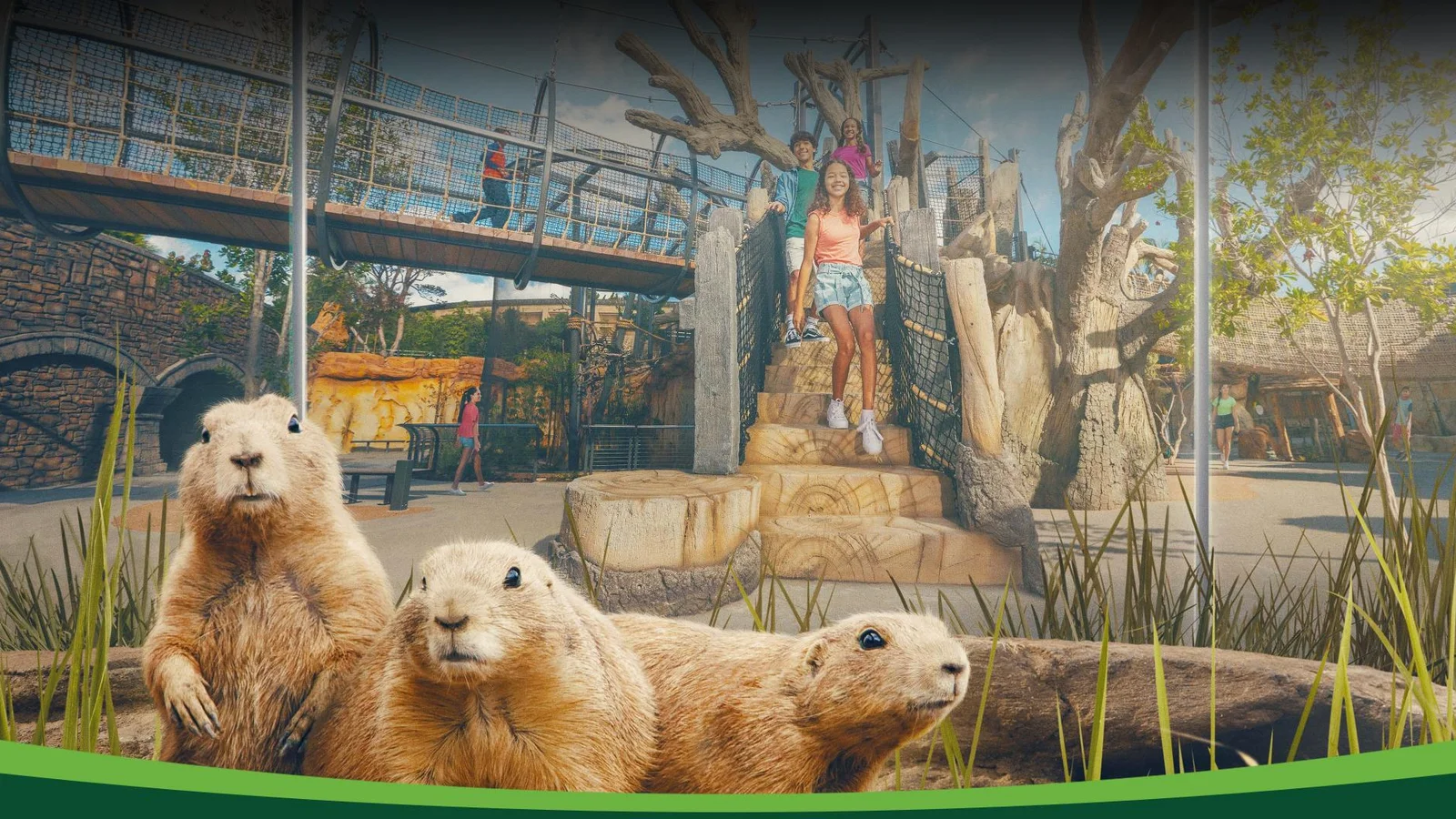 San Diego Zoo Wildlife Explorers Basecamp interactive exhibit zone